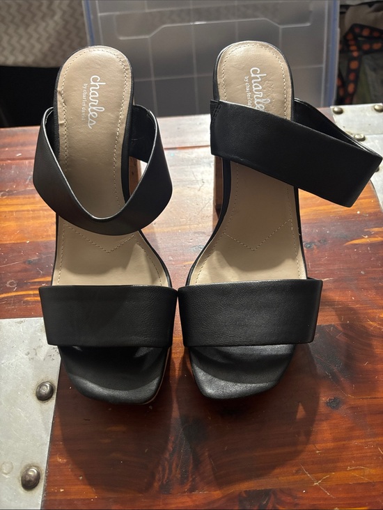 Charles By Charles David Shoes - Charles by Charles David Black Double-Strap Open-Toe Slide Heels